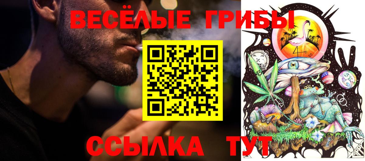 Псилоцибиновые грибы прущие грибы Борзя